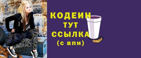 бошки Няндома