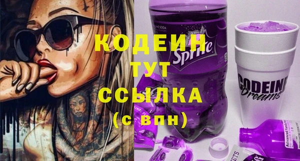 бошки Няндома