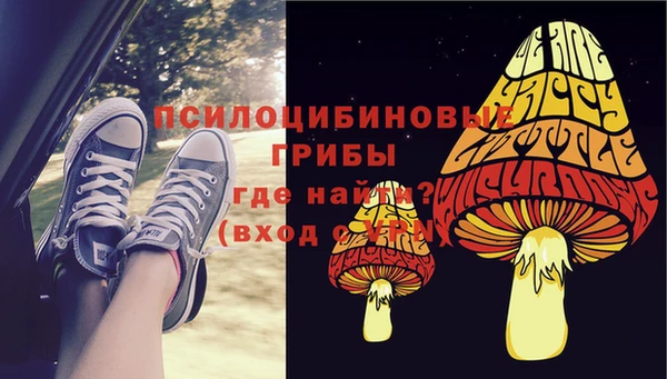 бошки Няндома