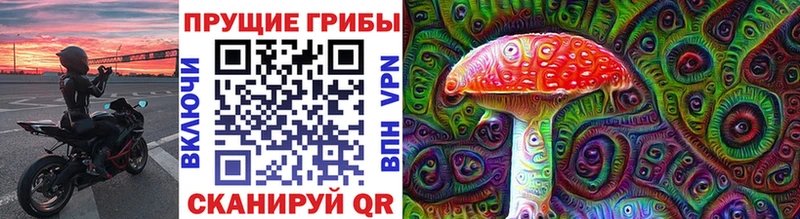 Галлюциногенные грибы прущие грибы  Новодвинск 