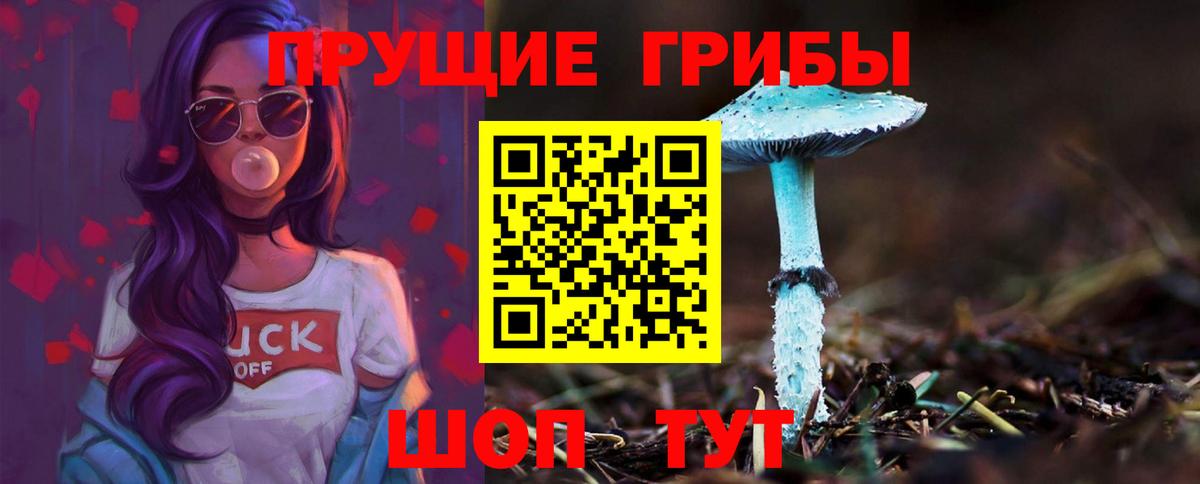 купить наркоту  Вход с VPN  Новодвинск  Псилоцибиновые грибы прущие грибы  Галлюциногенные грибы Magic Shrooms 