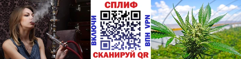 Канабис THC 21%  купить  сайты  Новодвинск 